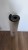 19567.jpg